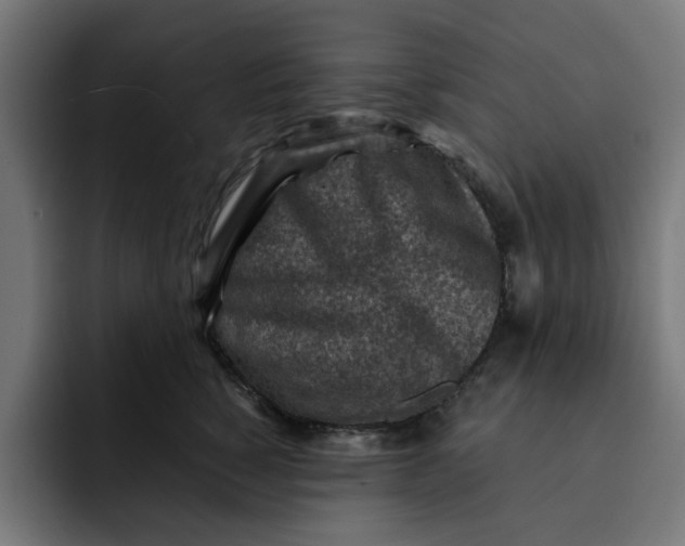 X0000092040760200710031024