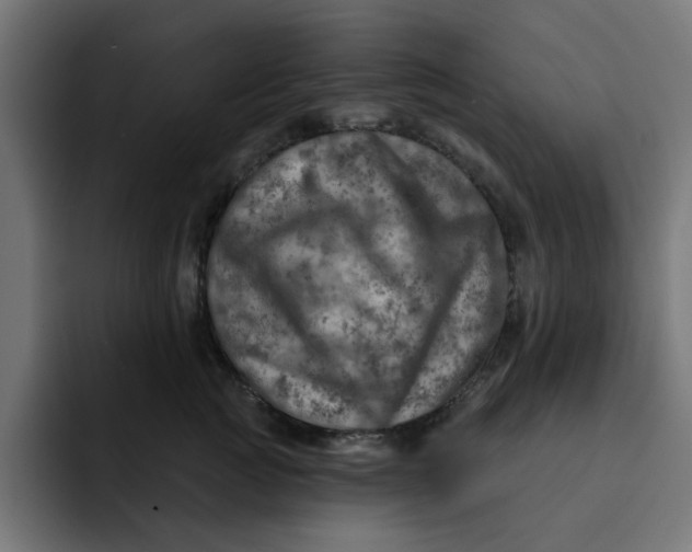 X0000092040761200710031024