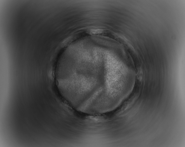 X0000092040763200710031024