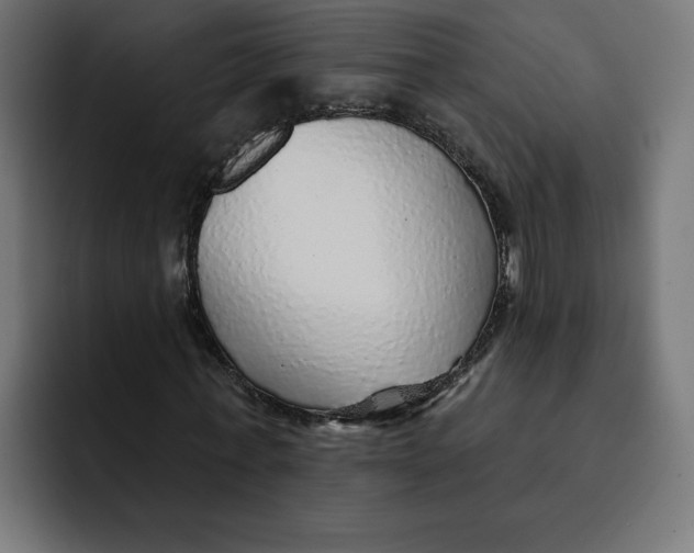 X0000092040771200710031024