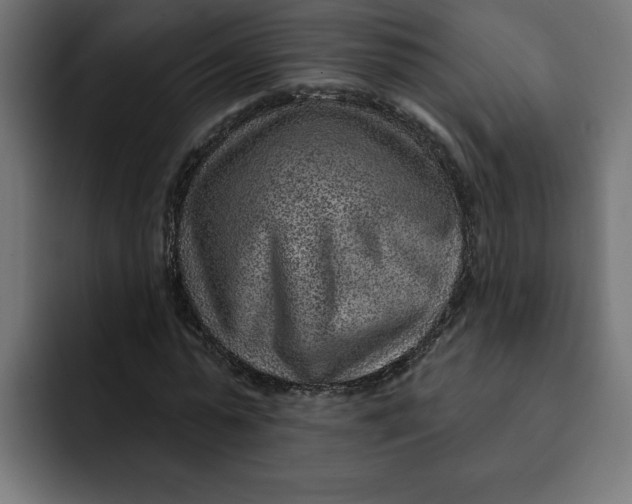 X0000092040775200710031024