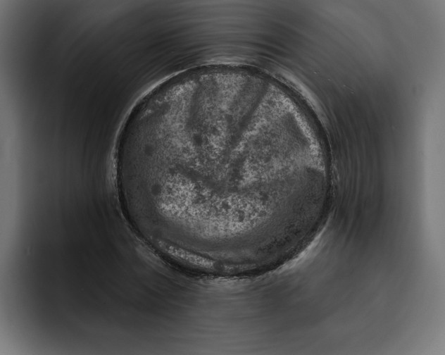 X0000092040779200710031024