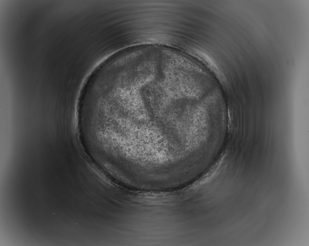 X0000092040780200710031024