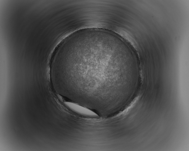 X0000092040781200710031024