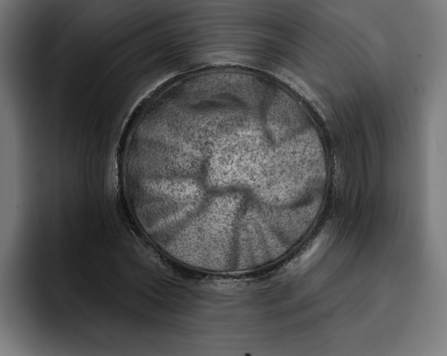 X0000092040782200710031024