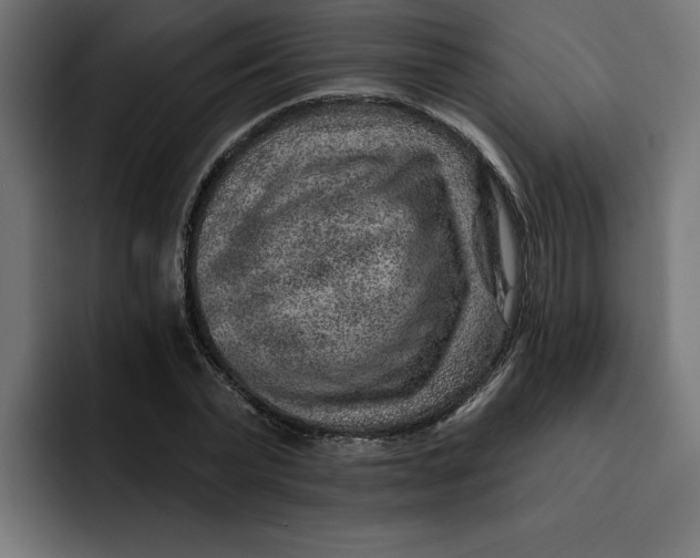 X0000092040783200710031024