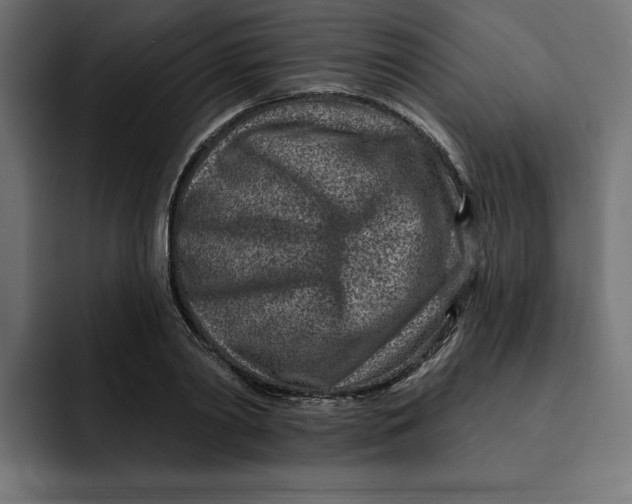 X0000092040790200710031024