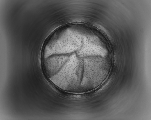 X0000092040794200710031024