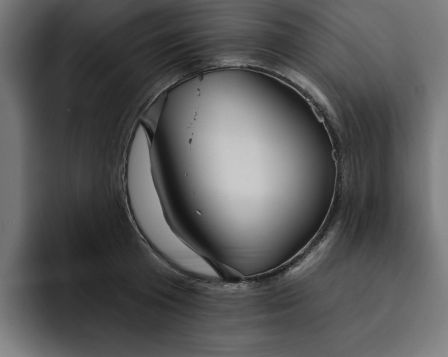 X0000092040801200710031023