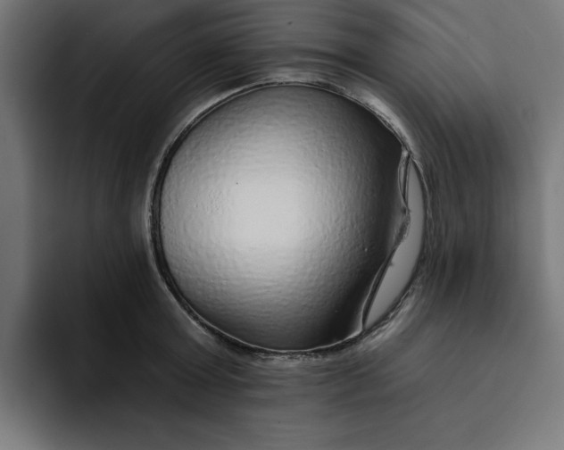 X0000092040803200710031023