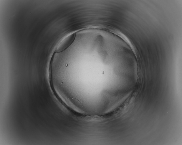 X0000092040811200710031023