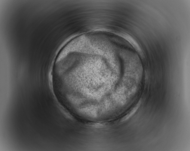 X0000092040814200710031023