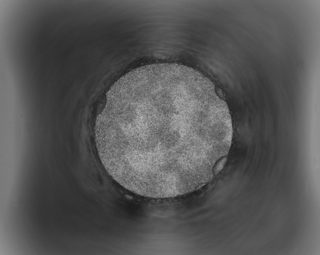 X0000092040817200710031023