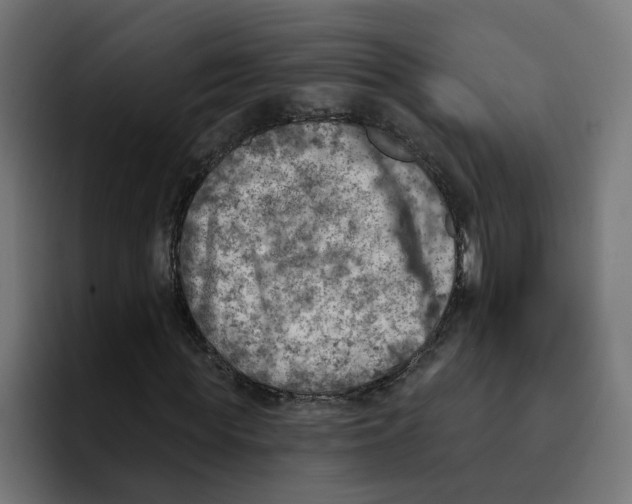 X0000092040819200710031023