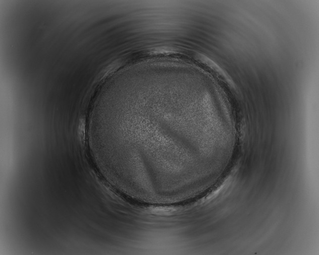 X0000092040825200710031023