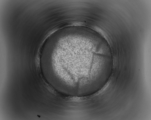 X0000092040827200710031023