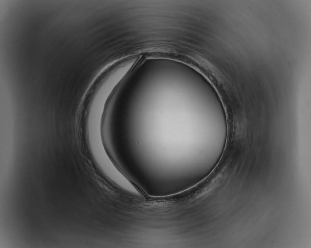 X0000092040830200710031023