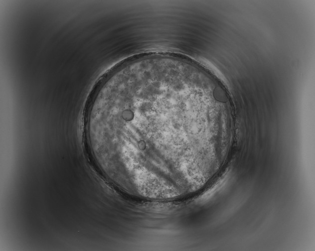 X0000092040831200710031023