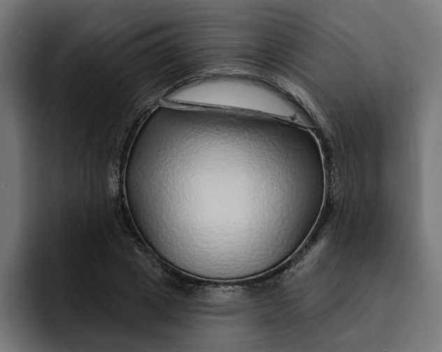 X0000092040833200710031023