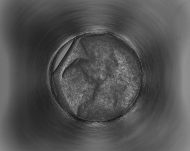 X0000092040835200710031023