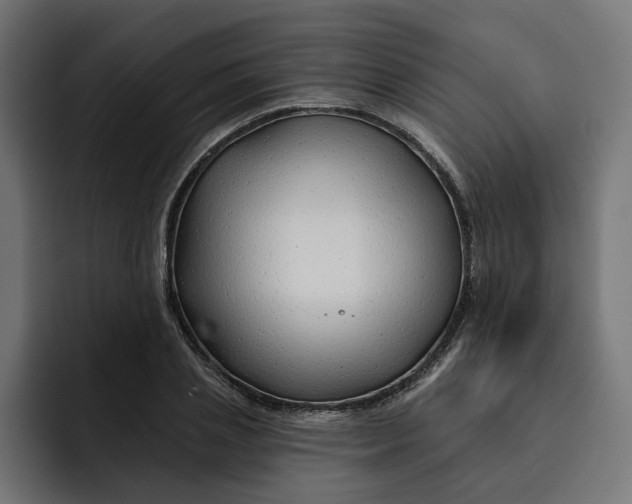 X0000092040837200710031023