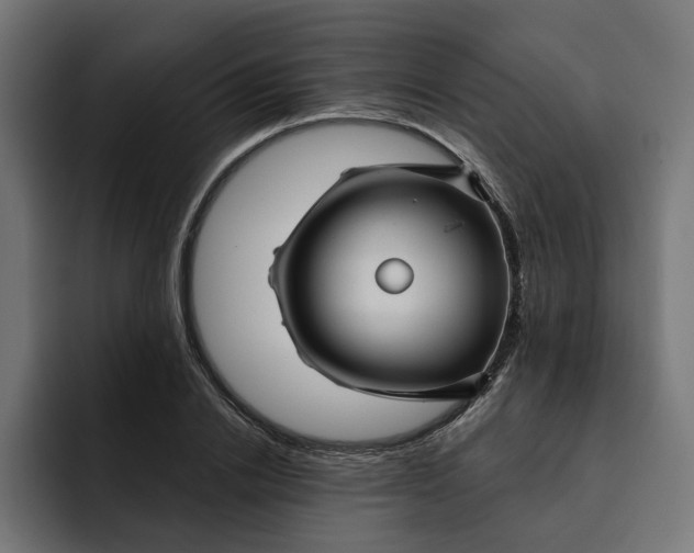 X0000092040838200710031023