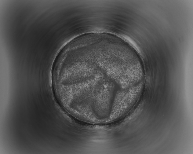 X0000092040839200710031023