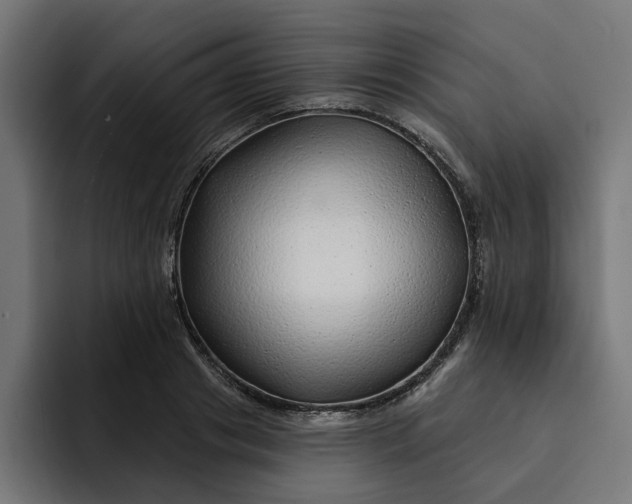 X0000092040841200710031023