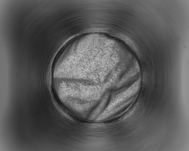 X0000092040844200710031023