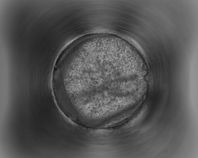 X0000092040847200710031023