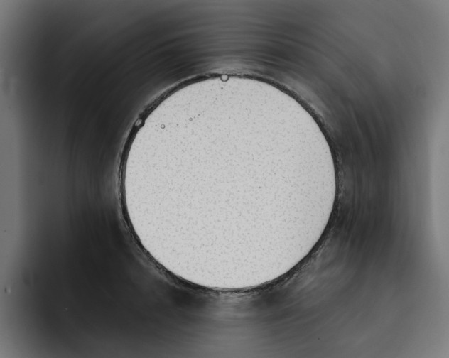 X0000092040848200710031023