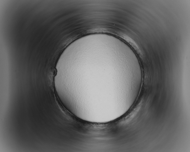 X0000092040849200710031023