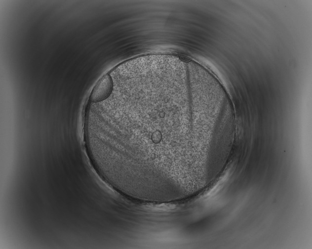 X0000092040851200710031023