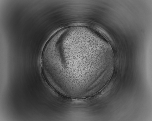 X0000092040852200710031023