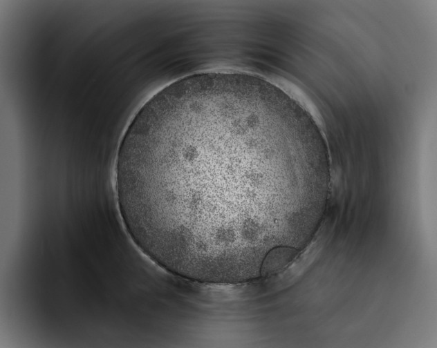 X0000092040855200710031023