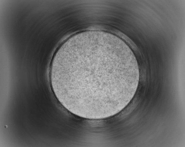 X0000092040856200710031023