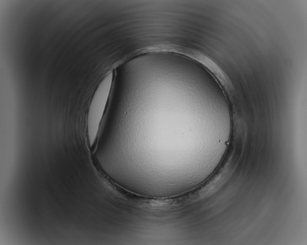 X0000092040857200710031023