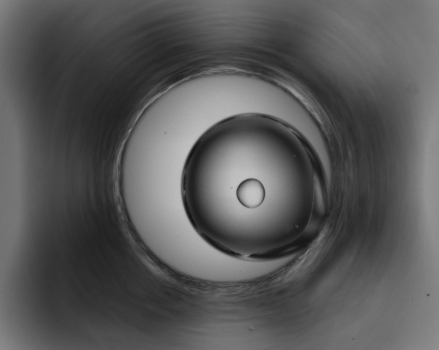 X0000092040858200710031023