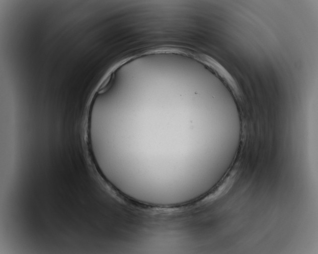 X0000092040860200710031023