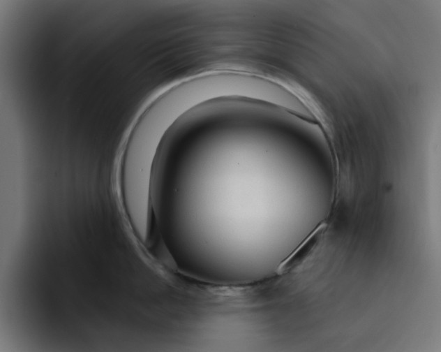 X0000092040862200710031023