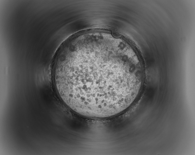 X0000092040875200710031023