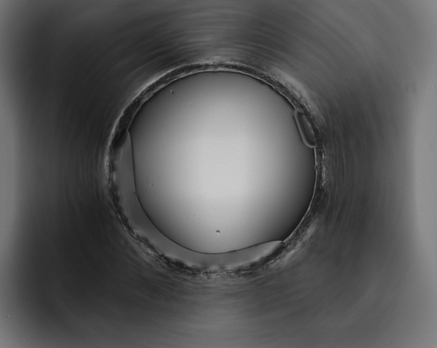 X0000092040876200710031023