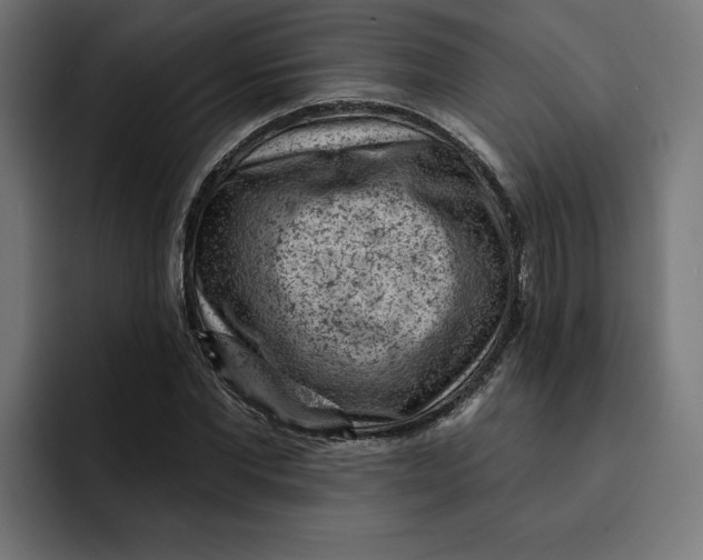 X0000092040877200710031023