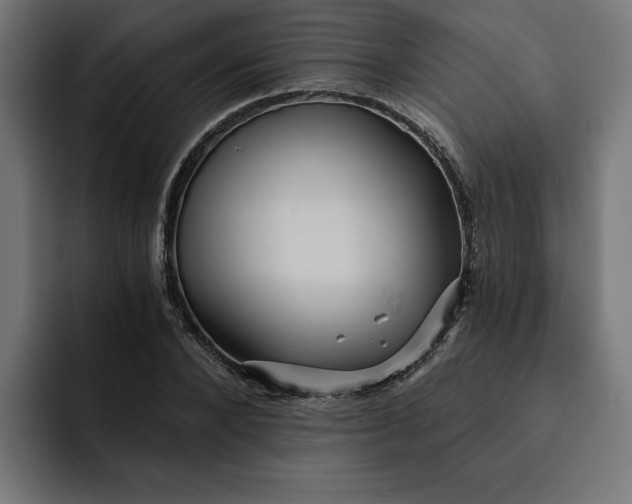 X0000092040880200710031023