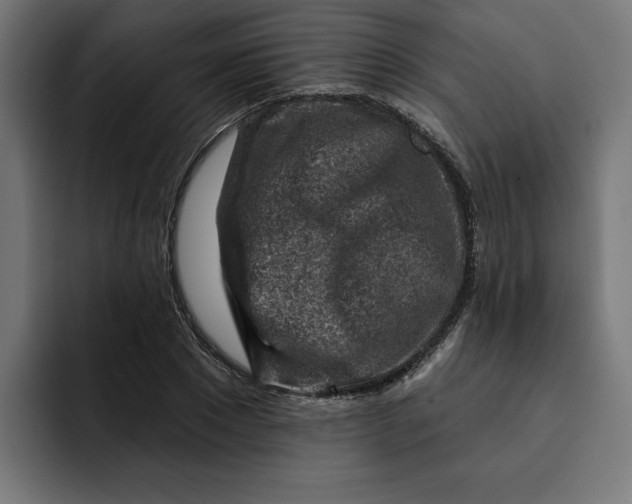 X0000092040881200710031023