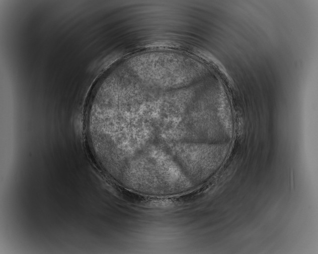 X0000092040882200710031023