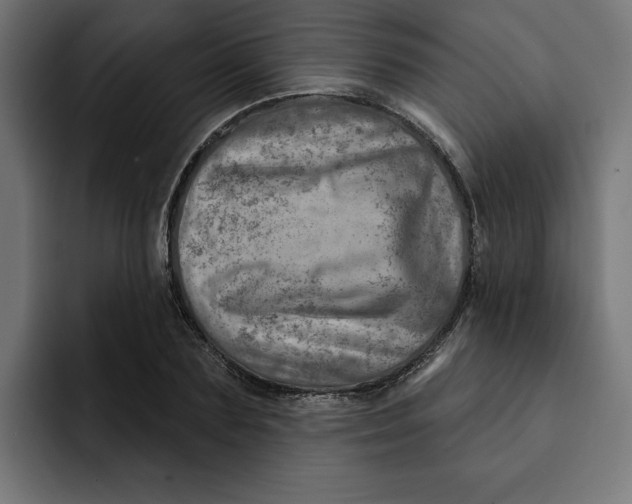 X0000092040883200710031023