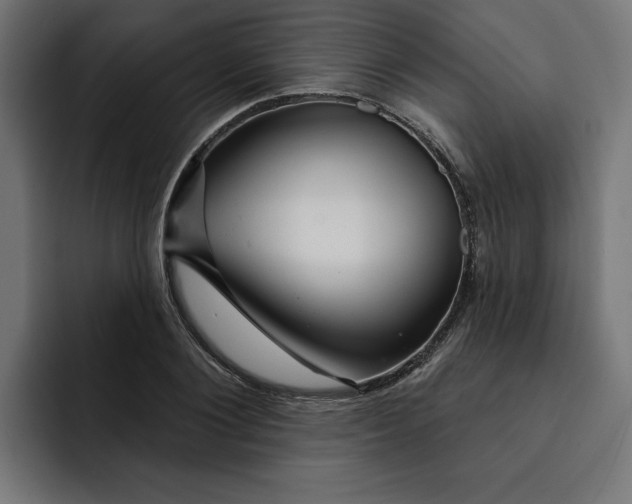 X0000092040884200710031022