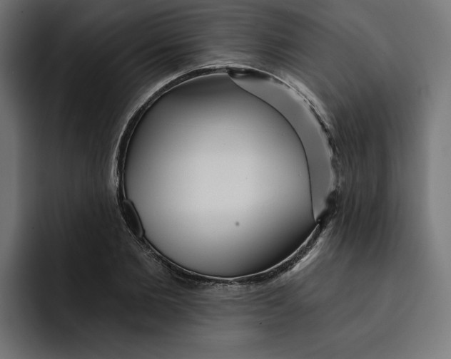 X0000092040885200710031022