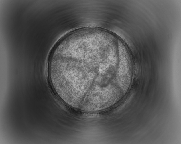 X0000092040886200710031022